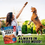 Chicken Jerky Dog Treats 1.5 Lb Human Grade Pet Snacks Grain Free